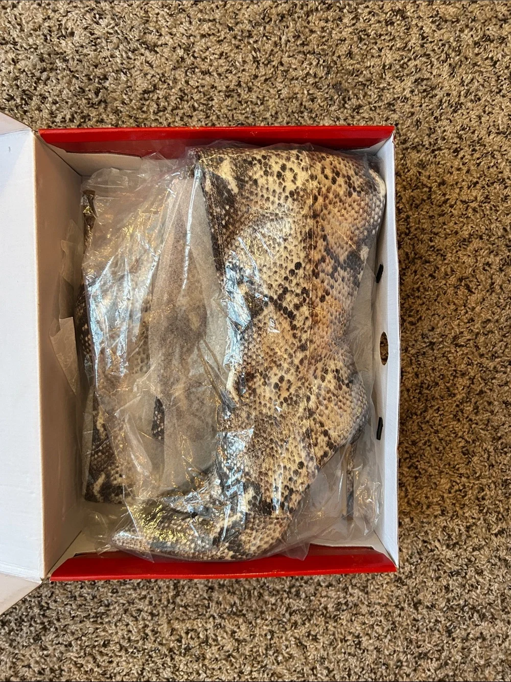 Guess Over-the-Knee Snake-Print Boots in Beige and Black